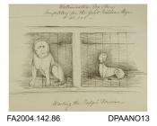 Cartoon sketch, ink and watercolour, a mastiff with the Claimant's head superimposed, and a greyhound with the Infant's head superimposed, both in cages, circa 1871-1872vol 2, page 87