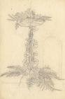 Drawing, pencil drawing, flower arrangement? by Louise C Hobart, Langdown House, Langdown, Hythe and Dibden, Hampshire, about 1862.