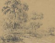 Drawing, pencil drawing, trees and flowers at Silchester, Hampshire, mid 19th century?