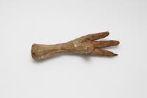 Foot, plaster cast, bird, dodo, Raphanus cucullatus, taken from the specimen in the British Museum, c1867