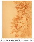 Drawing, crayon drawing in brown on paper, a tree study, St Valery-sur-Somme, France, drawn by William Herbert Allen, of Farnham, Surrey, 1880s-1940s