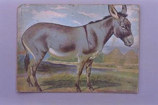 Jigsaw puzzle, wood, New Dissected Animal Puzzle, donkey, made in Germany? late 19th early 20th century.