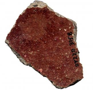 Madder-stained potsherd from The Library site, Jewry Street, Winchester