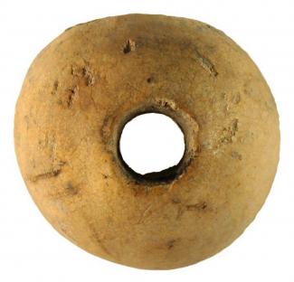 Bone spindlewhorl. Bos femur. From CHR76-80, Chester Road, Winchester, Hampshire. Excavated by K. Gordeuk and G. Scobie, 1976-80.